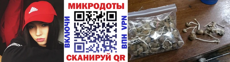 Купить где  Арск  Галлюциногенные грибы GOLDEN TEACHER 